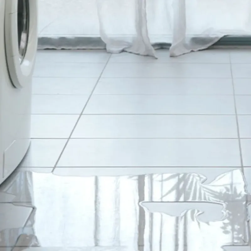 Appliance Leak Cleanup in Highlands, TX