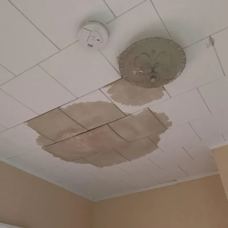 Ceiling Water Damage Repair in Highlands, TX