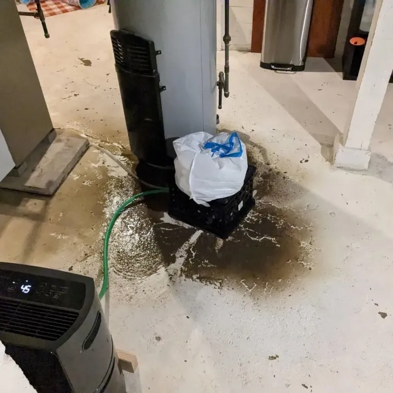 Sewage Backup Cleanup Service in Highlands, TX